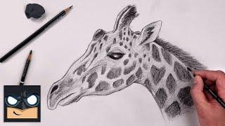 How To Draw a Giraffe | YouTube Studio Sketch Tutorial