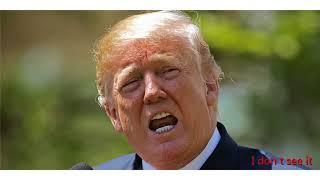 Rudy Giuliani says Michael Cohen's issues have nothing to do with Donald Trump