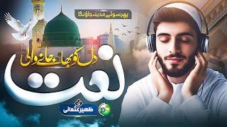 Zaheer Usmani's Naat Sharif Will Take You on a Journey to Madina - Peace Studio - Top Naat 2024