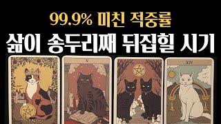 [타로] 99.9% 소름적중삶이 송두리째 뒤집힐 시기성공을 진심으로 기원합니다