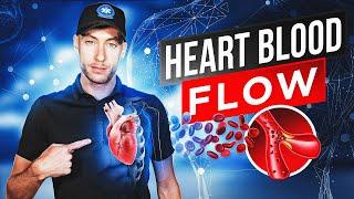 EMT School: Heart Blood Flow | NREMT Review 