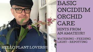 Basic Oncidium Orchid Care!