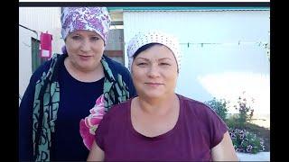 Запасаемся зерном .ОБЗОР моего хозяйства /Мама Гуля/ Жизнь в деревне