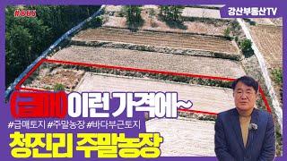 #865 (급매)청진리 바닷가마을 주말농장 이런 가격이~  @강산부동산TV