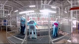 Take a 360° Virtual Reality Tour of a Chicken Processing Plant