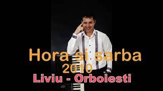 Hora si sarba de joc-Liviu de la Orboiesti si Orient Orchestra live 2010