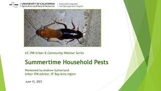 Summertime Household Pests