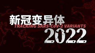 爆肝1月，汇总52篇论文，5大新冠毒王全面报告