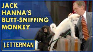 Jack Hanna's Butt-Sniffing Monkey | David Letterman