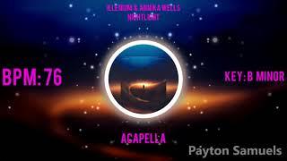 Illenium Ft. Annika Wells - Nightlight (Official Studio Acapella)