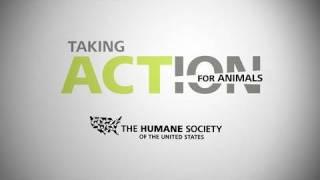 2010 Taking Action for Animals Conference