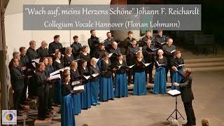 "Wach auf, meins Herzens Schöne" Johann F. Reichardt | Collegium Vocale Hannover (Florian Lohmann)