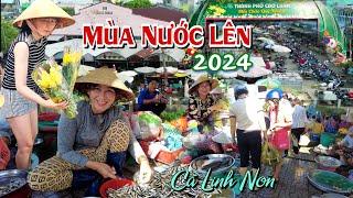 Mùa Nước Nổi 2024 Cảnh Tượng Không Ngờ Chợ Cá Đồng Lớn Nhất Cao Lãnh Khác Lạ