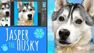 Digital Pet Portrait | Jasper the Silver and White Husky