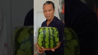 Rarest Watermelon in the World.