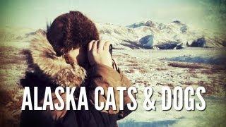 Alaska Predators | Trapping and Hunting in Alaska