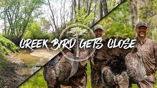 Turkey Hunting-  Gobbler Comes to 6 YARDS in a CREEK