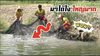 ตกใจ ! ไม่คิดว่า จะตัวใหญ่ขนาดนี้ | เด็กตกปลา