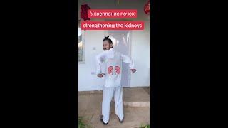 Упражнения для укрепления почек