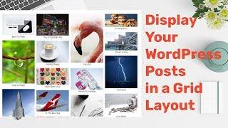 WordPress Post Grid Plugin To Display Your WordPress Posts & Pages in a Grid Layout