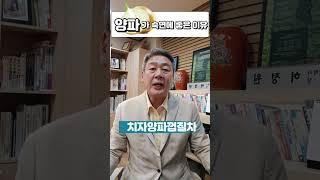 양파가 숙면에 좋은 이유 #불면증