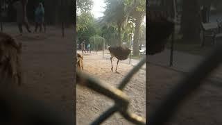 Bahria Orchard Mini Zoo Lahore