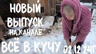 Вышел выпуск в 13:30 на Яндекс ДЗЕН, 02.12.24 в 15.00 по выйдет на канале ВСЁ В КУЧУ NEW