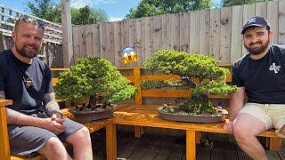 Adam’s Bonsai Bench Tour!