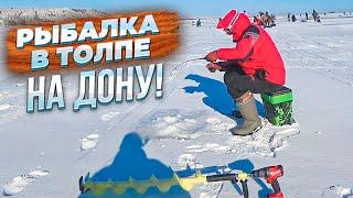 НА СНЕГОХОДЕ ВРЫВАЕМСЯ В ТОЛПУ! РЫБАЛКА НА ДОНУ! РЫБАЛКА НА СУДАКА ЗИМОЙ!