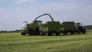 Grassilage Ernte 2015  mit Krone Schwadro 2000, Claas Jaguar 950