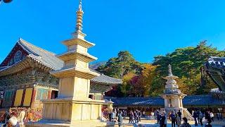 Korea - Touring Bulguksa Temple with Fall Leaves | Gyeongju - 4K