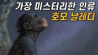 인류 진화사를 뒤흔든 호모 날레디!｜그들은 누구인가?