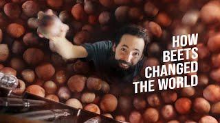 How BEETS Changed the World - SEED to HARVEST - Garden Documentary