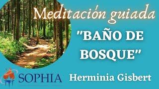 Meditación "BAÑO DE BOSQUE" por Herminia Gisbert