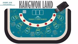 [ Tourism KOREA ] 강원랜드 카지노 쓰리카드 포커 게임 가이드 (4K) Gangwon Land Casino Three Card Poker Game Guide