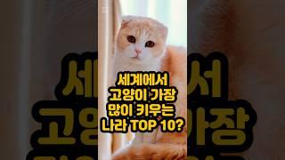 세계에서 고양이를 가장 많이 키우는 나라 TOP 10