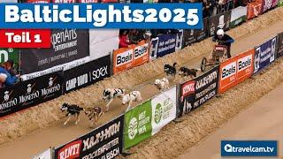 Baltic Lights 2025: Spektakuläres Schlittenhunderennen für den guten Zweck