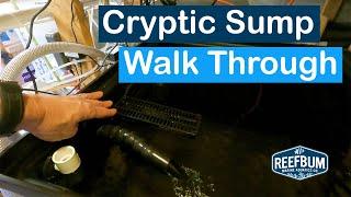 Cryptic Sump Walk Through