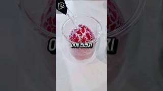 야행성 공룡알 vs 아침형 공룡알 누가 더 #키 클까?