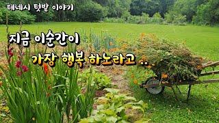 [미국 테네시]  시골일상이 평범해서 더 행복 합니다  #테네시 #시골풍경 #farming