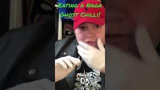 Naga Bhut Jolokia Ghost Chilli Challenge