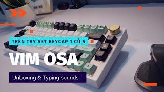 Vim OSA Keycap Set Unboxing With NJ80 Keyboard KIT