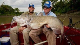 Trophy Channel Catfish Tactics