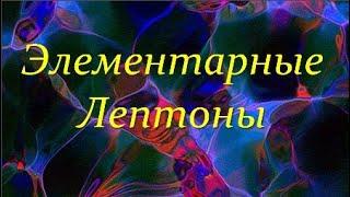  Ишханов Б. Лептоны и Фундаментальные Взаимодействия / Микромир и Вселенная. Video ReMastered.