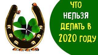 Что нельзя делать в 2020 году в год крысы