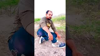#bollywood #funny I am star dhamakedar short video geet #love #bollywood 
