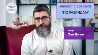 "По разрядам". Анекдот с бородой