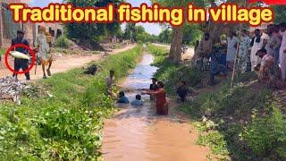 fishing| traditional fishing in village| net fishing| net fishing in canal| fish hunting   | fish