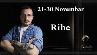 RIBE 21 - 30 Novembar