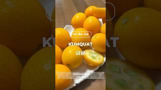 봄 제철과일 금귤 Kumquat